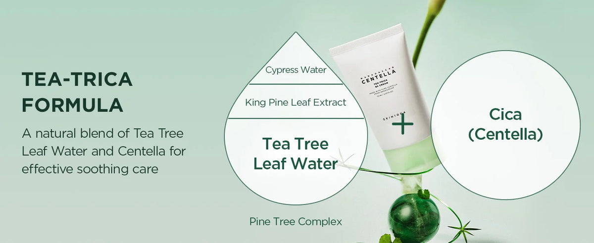 SKIN1004 Tea-Trica BS Cream Centella Asiatica Face Moisturizer Acne Soothing Repair Oily Blemish Prone Skin Korean Care 75ml